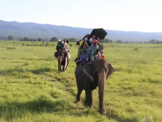 Golden Triangle Tour in Nepal